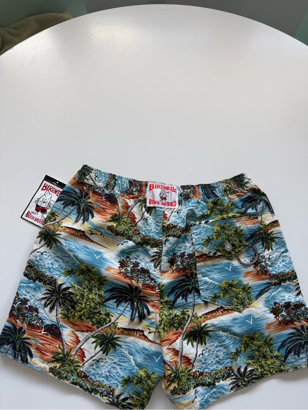 Birdwell Men’s Tropical Swim Shorts in Blue & Green